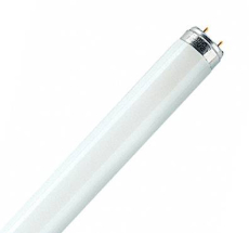 Leuchtstoffröhre 36W/865 OSRAM 1200x26mm T8 Tageslicht