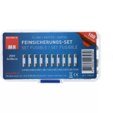 Sicherungssortiment 160 Stück 5x20mm flink in Box