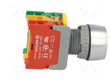 Druckschalter 22mm rot NC+NO 3A/230VAC IP65 beleuchtet