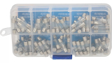 Sicherungssortiment träge 5x20mm 100 Stück in Box